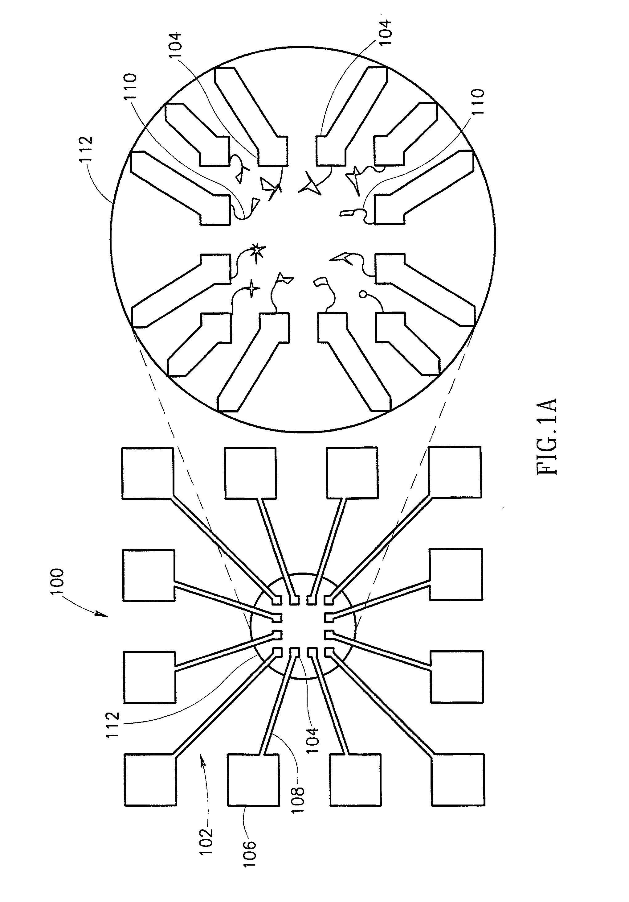 Microelectronic components and electronic networks comprising DNA