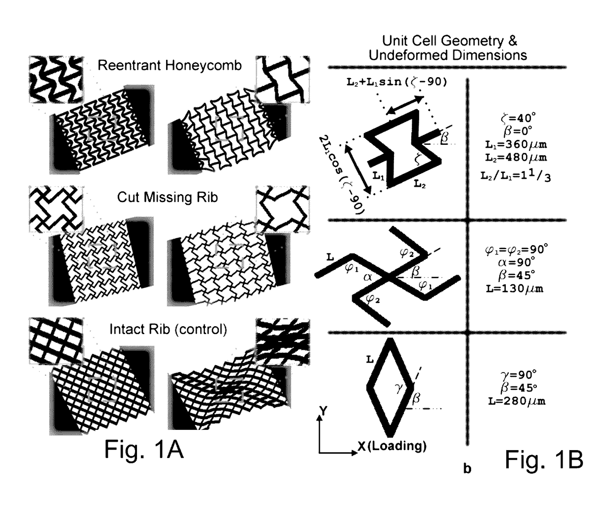 Microstructure biomaterials and fabrication methods therefor