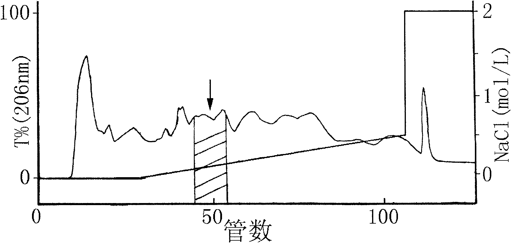 Rana grahami boulenger antibiotic peptide and application thereof