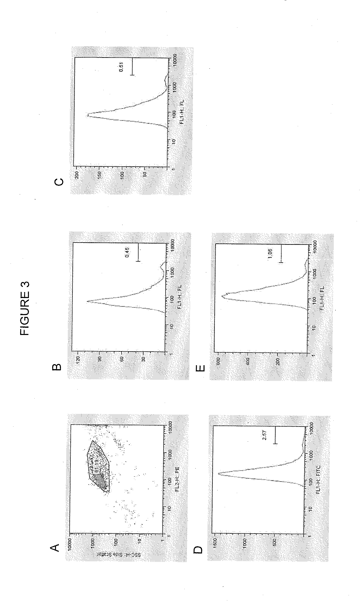 Endogenous expression of hla-g and/or hla-e by mesenchymal cells