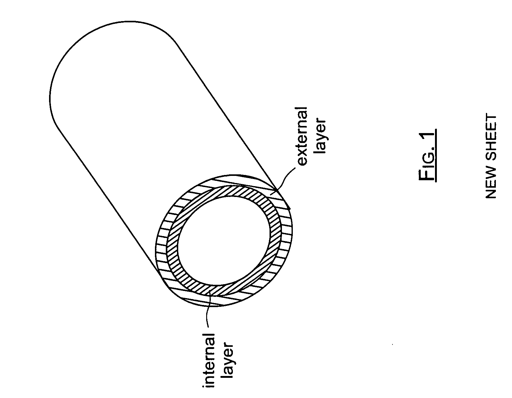 Ppa/fluoropolymer pipe