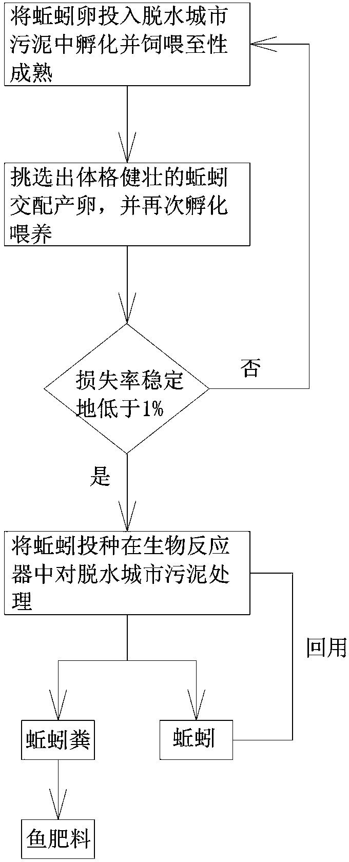 Method for disposing urban sludge by using earthworms