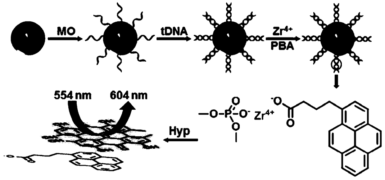 DNA fluorescence analysis method based on the interaction between hypericin and 1-pyrene butyric acid