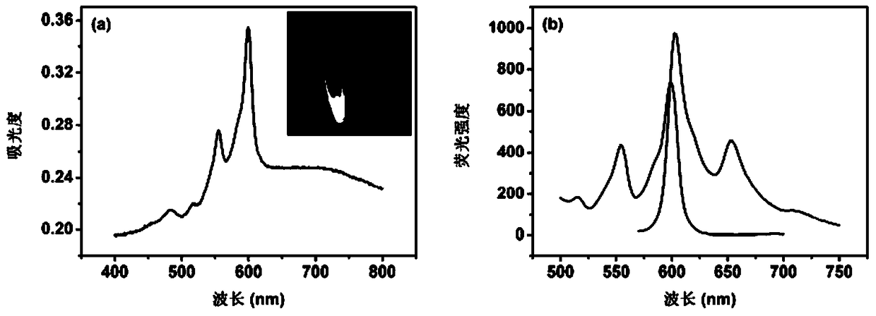 DNA fluorescence analysis method based on the interaction between hypericin and 1-pyrene butyric acid