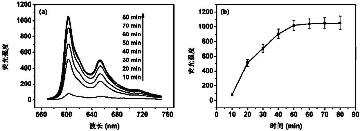 DNA fluorescence analysis method based on the interaction between hypericin and 1-pyrene butyric acid