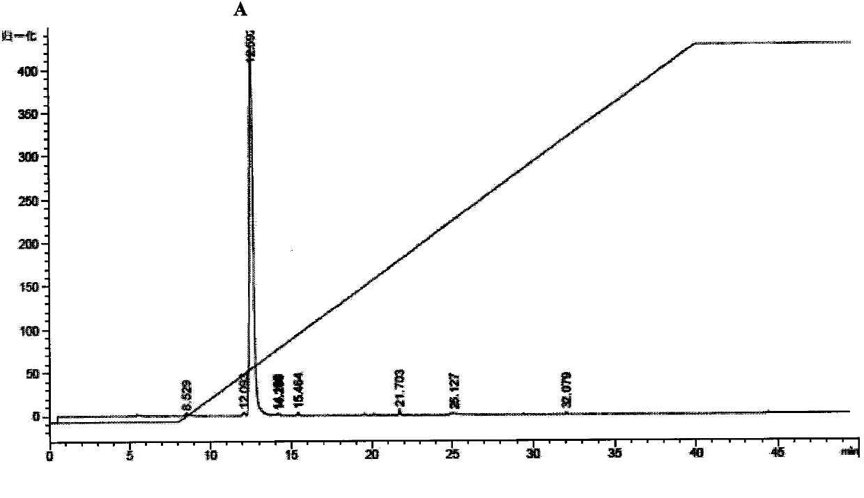 Preparation method of Sinonovacula constricta polypeptide with antioxidation function and application thereof