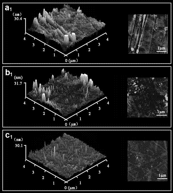 Anti-liver cell aging co-fixation electric biomaterial and application thereof