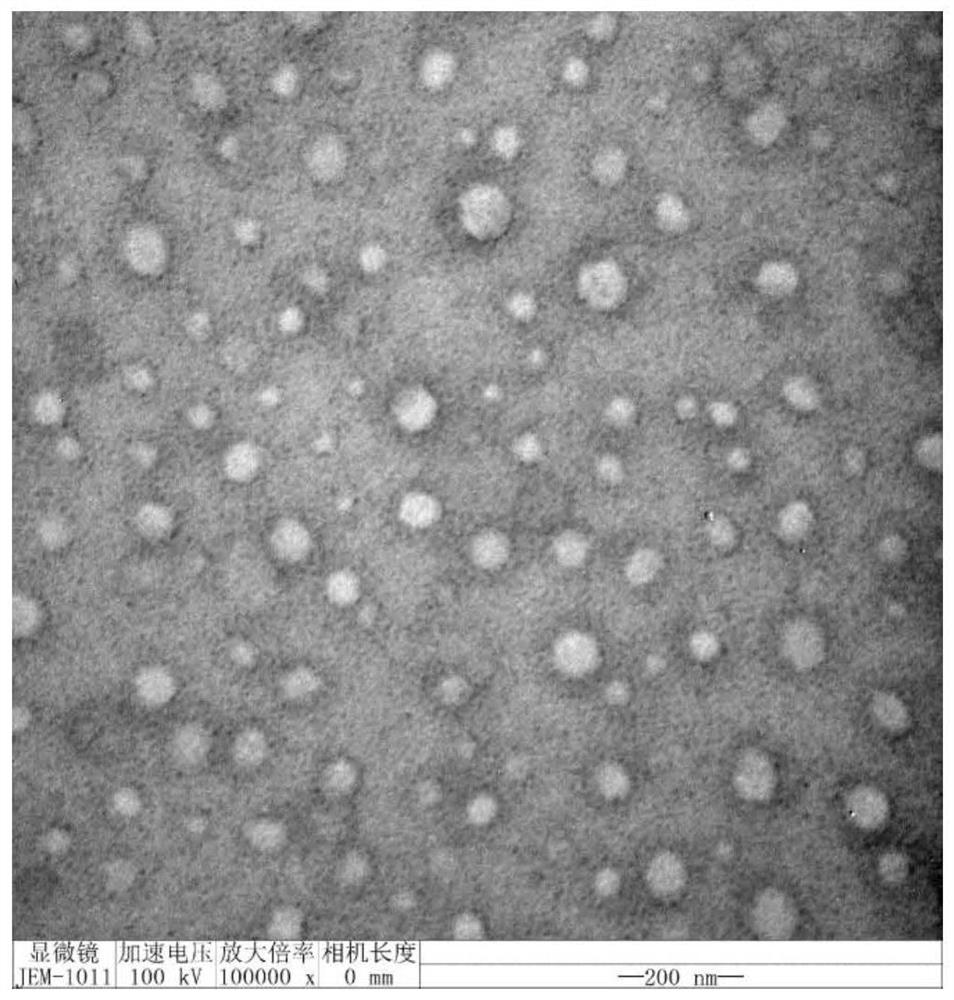 A kind of liposome, its preparation method, liposome assembly and carrier liposome complex