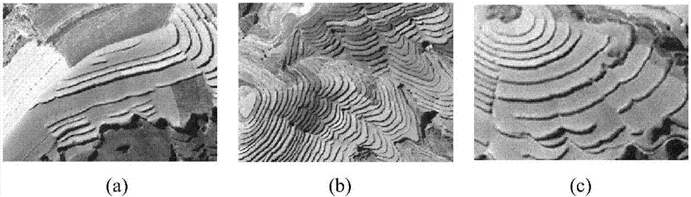 Loess plateau terrace extraction method based on ray method