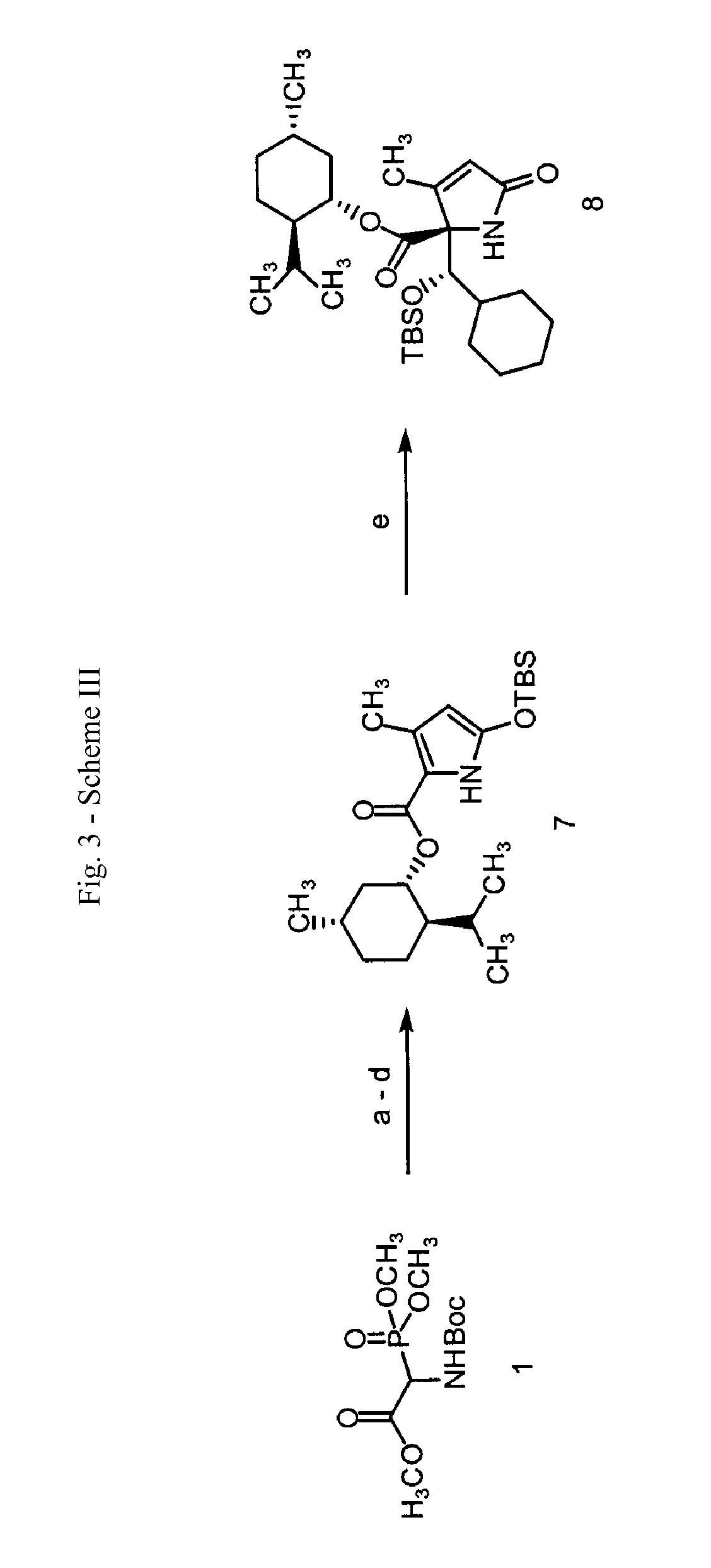 Analogs of salinosporamide A