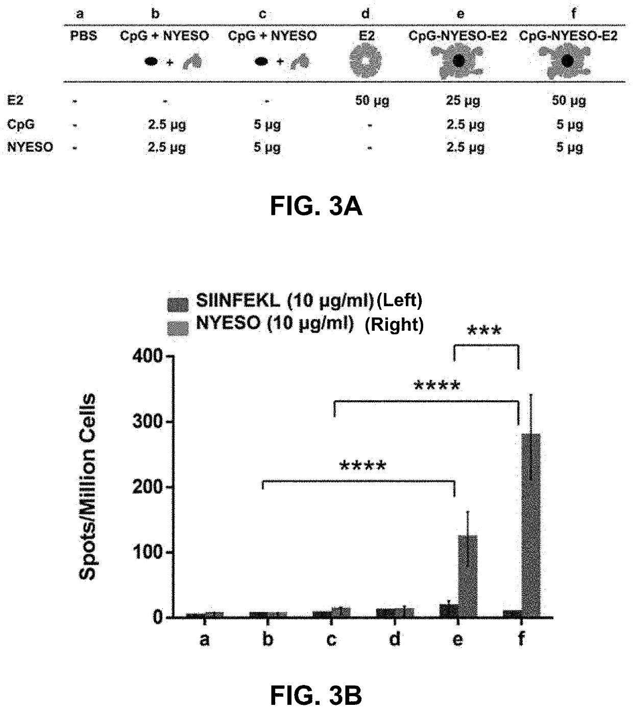 Protein nanoparticles and combination therapy for cancer immunotherapy