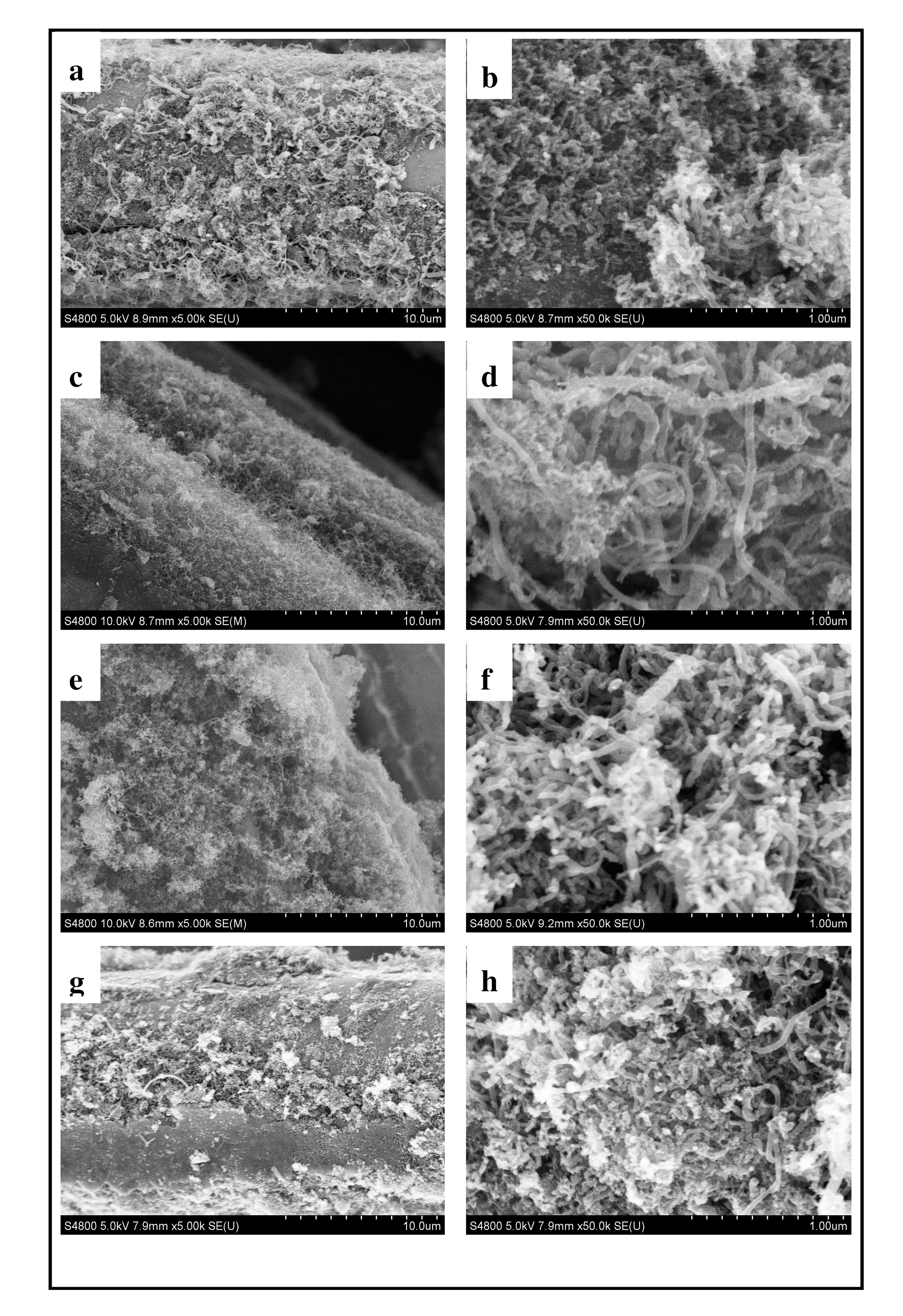 Silicon carbide fiber solid fabric for in-situ growing carbon nano tubes, composite material and preparation method thereof