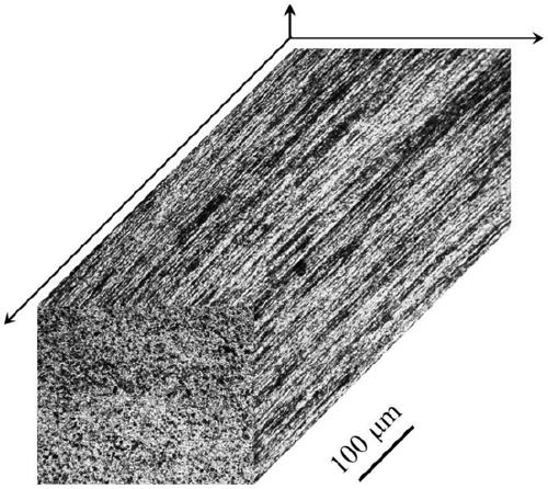 A kind of high-strength toughness filiform grain pure titanium and its preparation method