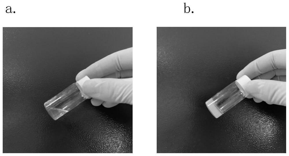 Injectable temperature-sensitive hydrogel as well as preparation method and application thereof