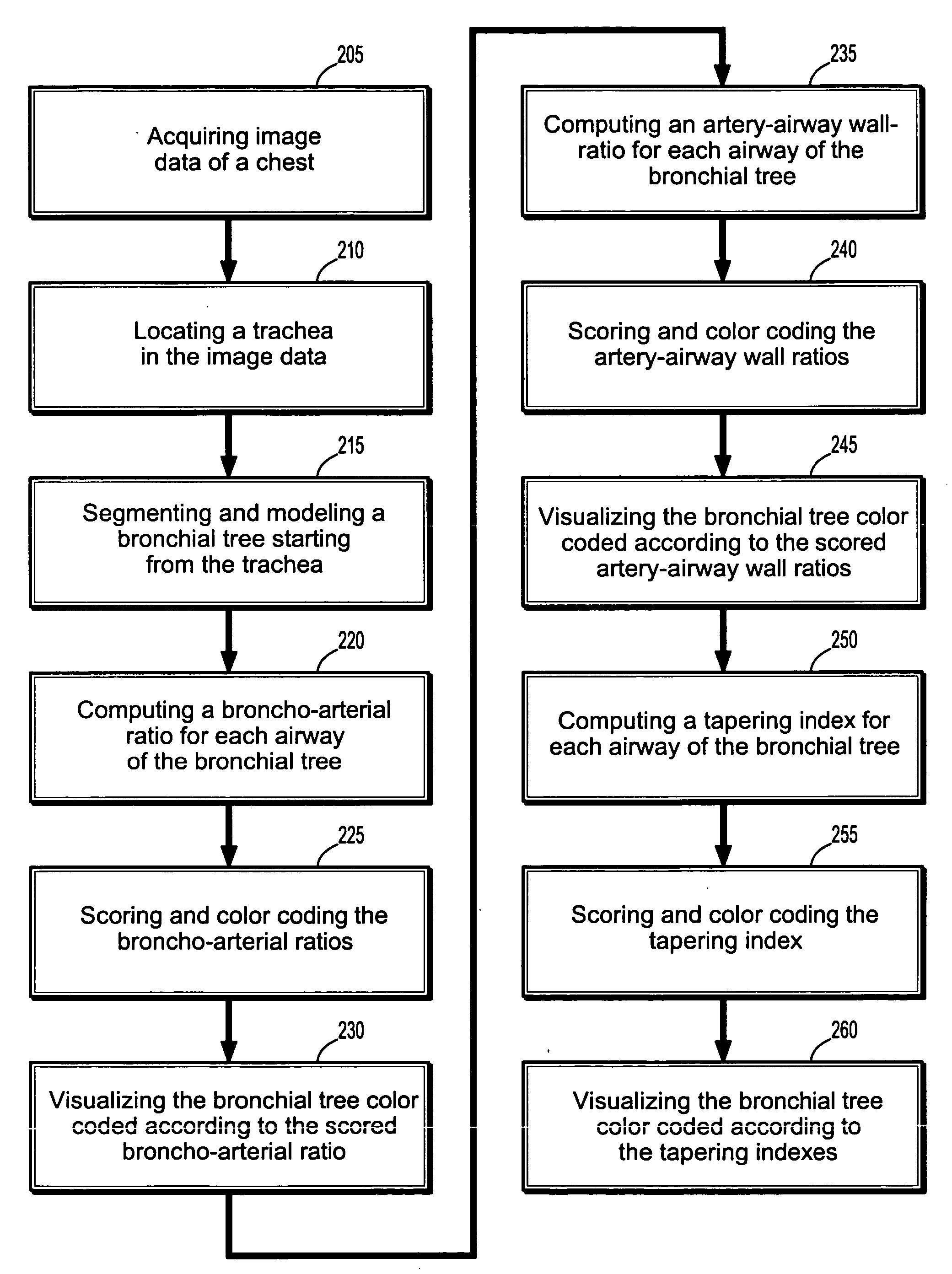 System and method for automated airway evaluation for multi-slice computed tomography (MSCT) image data using airway lumen diameter, airway wall thickness and broncho-arterial ratio