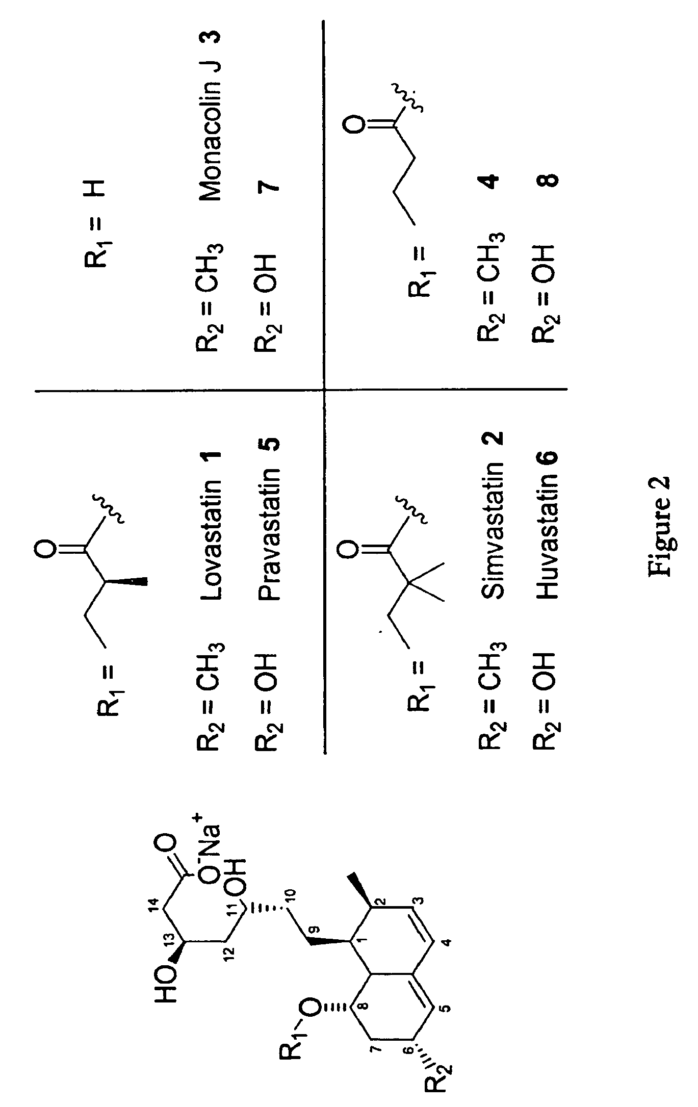 Methods and Materials for Making Simvastatin and Related Compounds