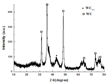 Method for preparing vermicular mesoporous tungsten carbide/charcoal composite material