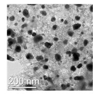 Method for preparing vermicular mesoporous tungsten carbide/charcoal composite material