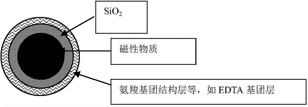 Magnetic separation purifying treatment technology for removing heavy metal pollution of soil