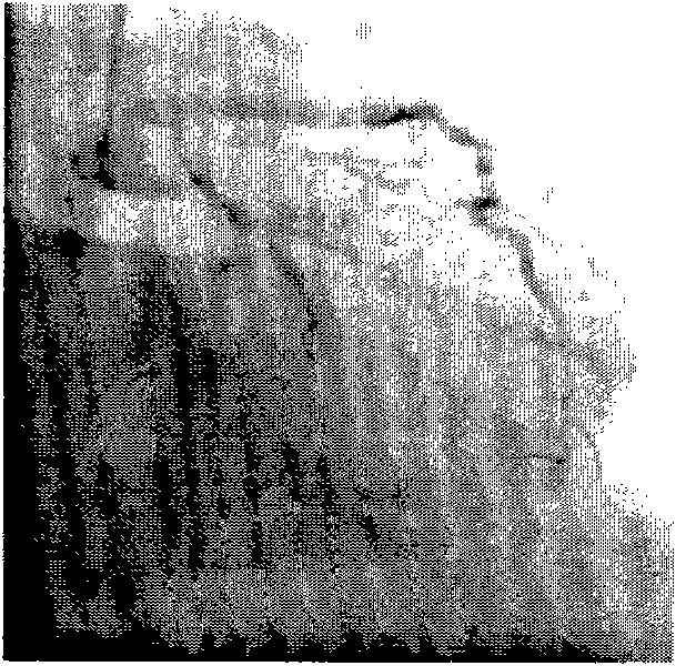 Method for segmenting blood vessel in digital subtraction angiography (DSA) image sequence