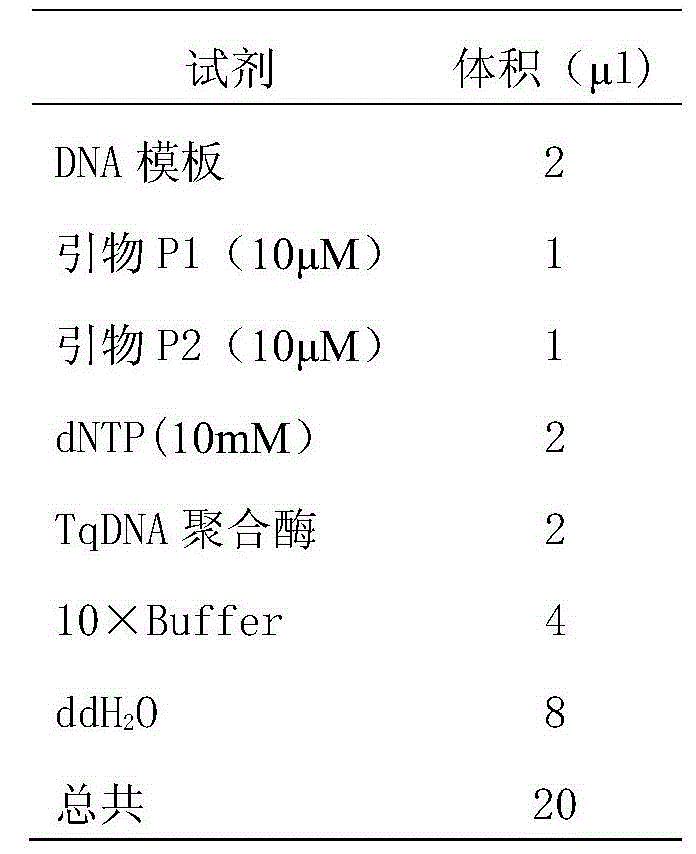 Artificial antigen and kit for joint detection of Rta protein antibody of epstein-barr (EB) virus and early antigen ethyl acrylate (EA) antibody of EB virus