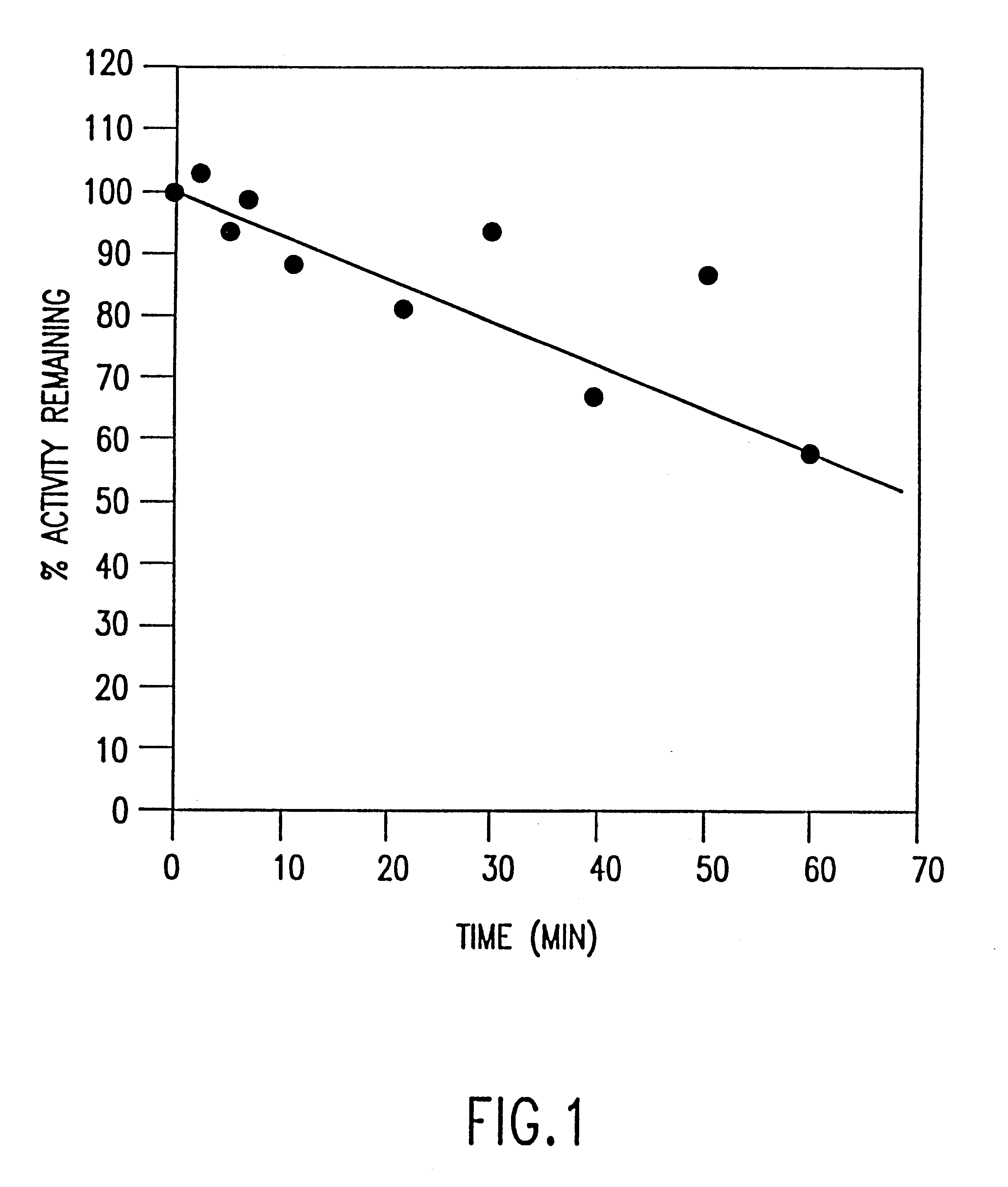 Cloned DNA polymerases from Thermotoga and mutants thereof