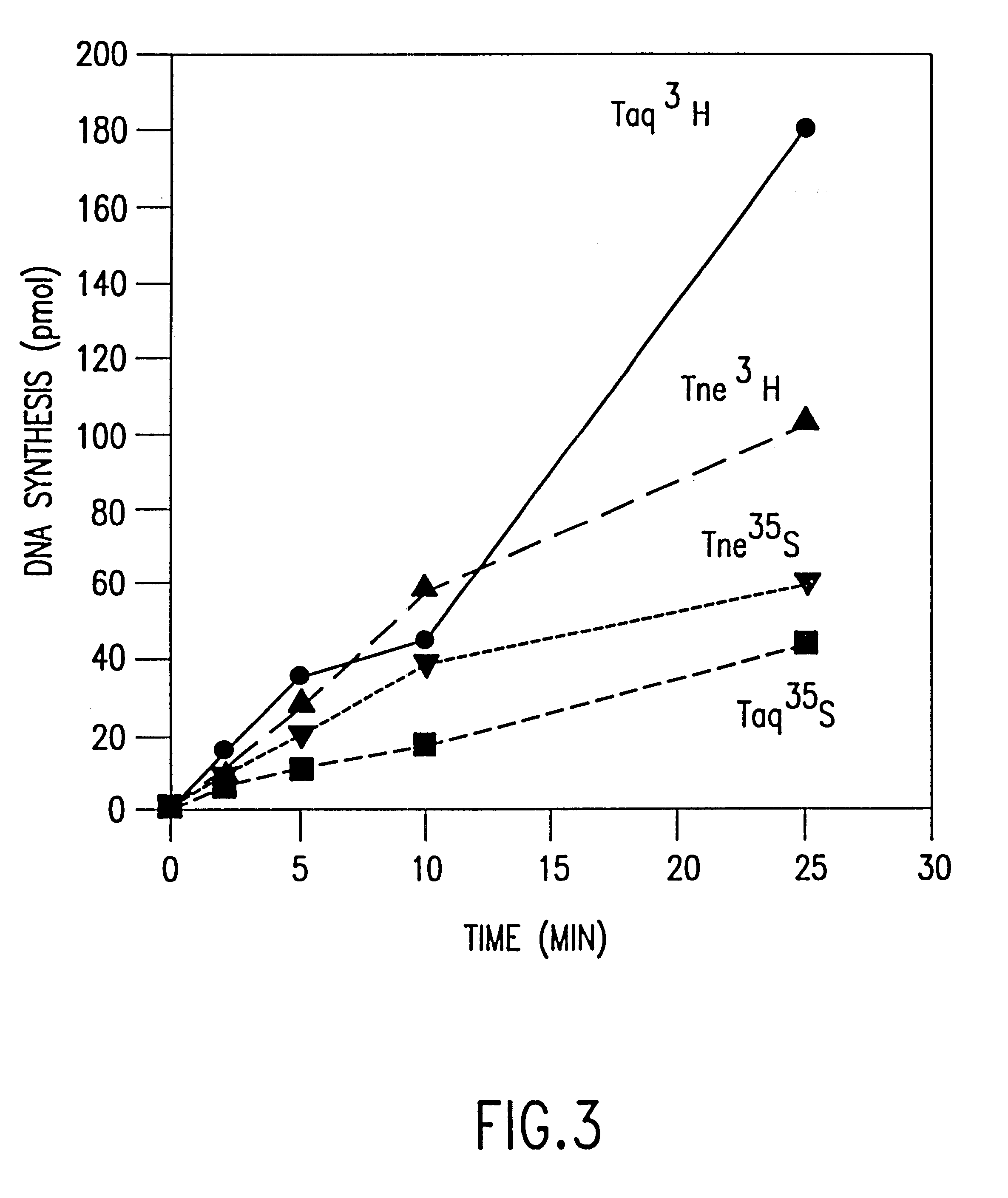 Cloned DNA polymerases from Thermotoga and mutants thereof