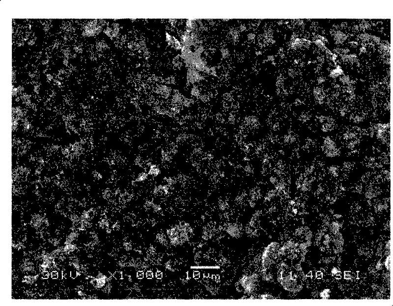 Sulfureous resistant four-effect catalyst for purifying tail gas of vehicle