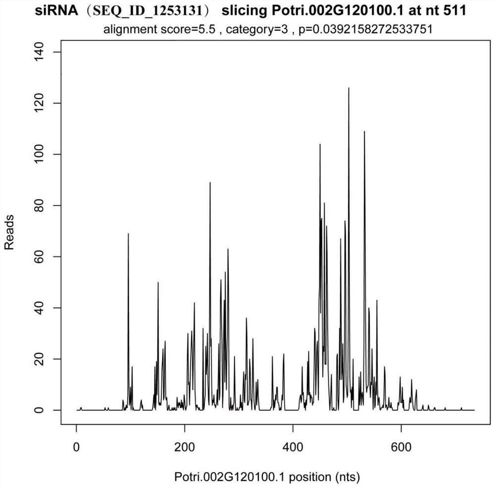 Method for identifying transcription regulation relationship of plant endogenous siRNA