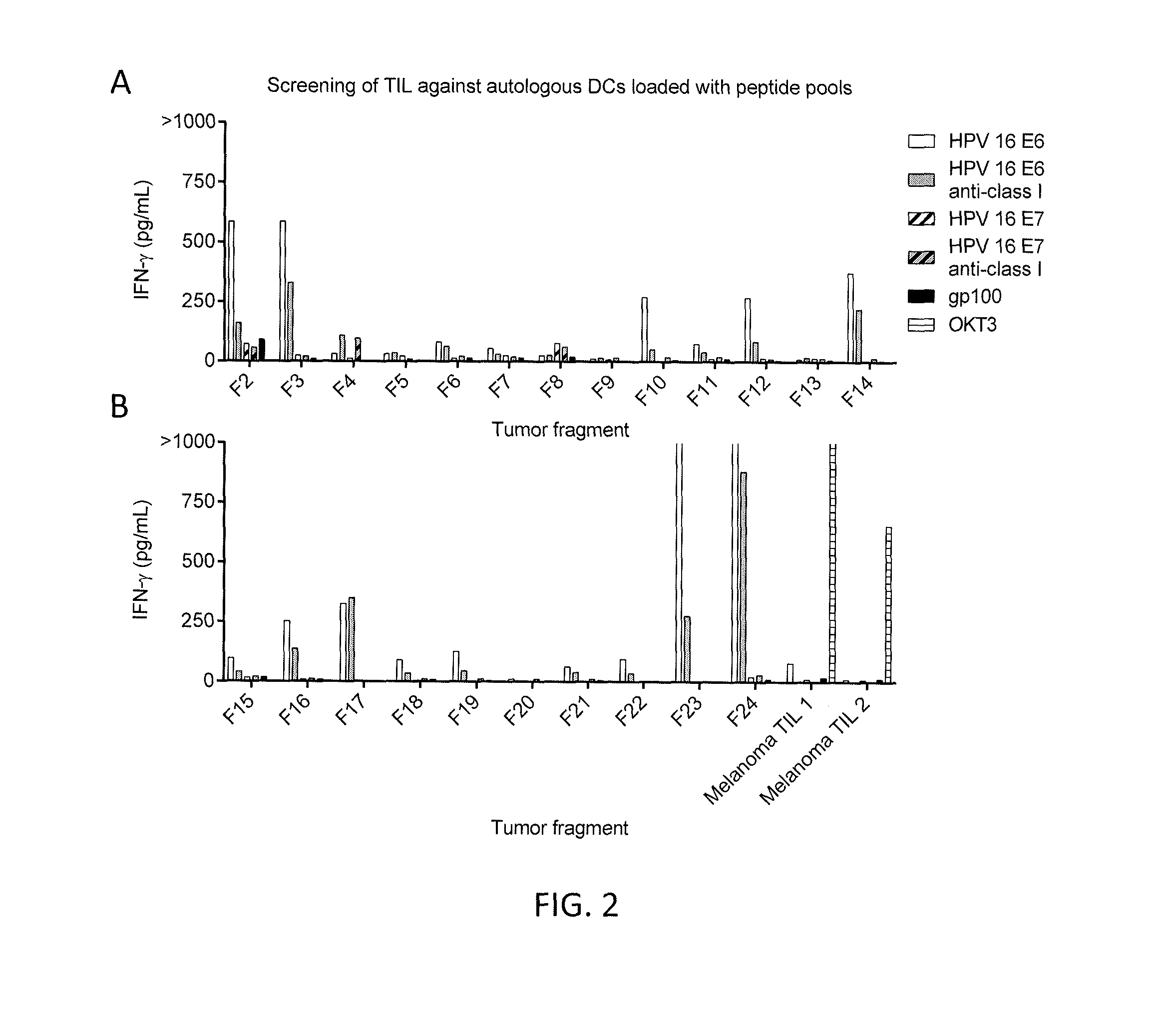 Anti-human papillomavirus 16 e6 t cell receptors