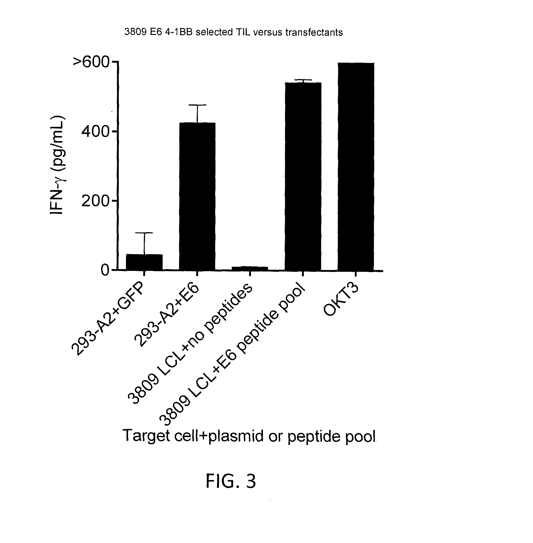 Anti-human papillomavirus 16 e6 t cell receptors