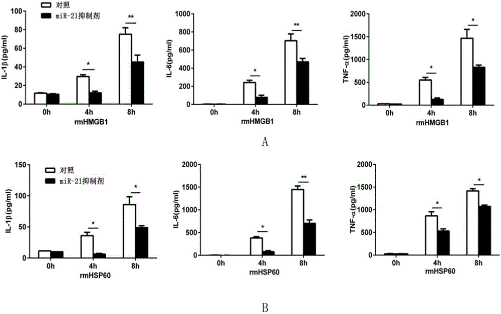 miRNA-21a inhibitor and application thereof in preparing medicine for delaying myocardial infarction