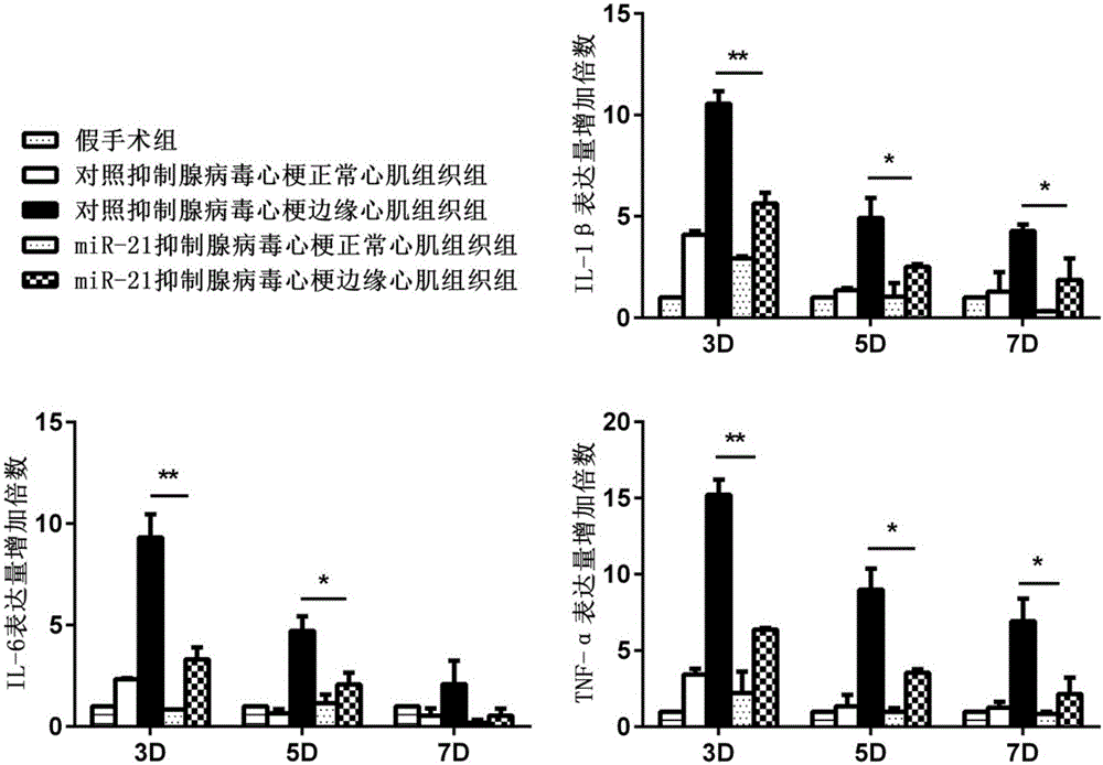 miRNA-21a inhibitor and application thereof in preparing medicine for delaying myocardial infarction