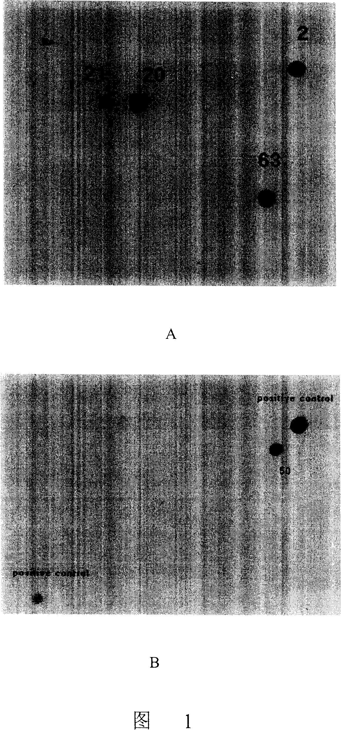 Method for improving volume of production of rifamycin