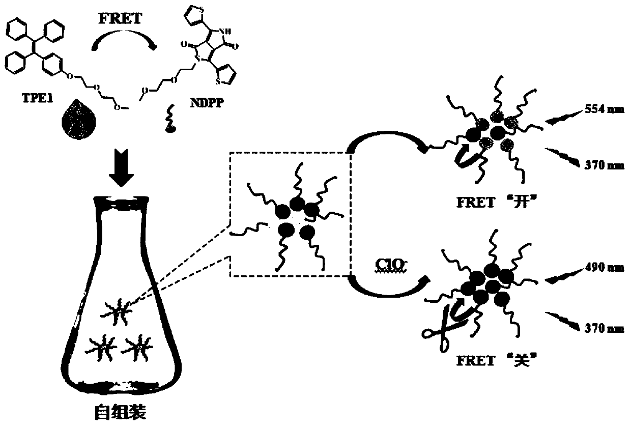 Application of Diketopyrrolopyrrole Compounds/Tetraphenylethylene Compounds Composite Nanoparticles in the Detection of Hypochlorite Ions