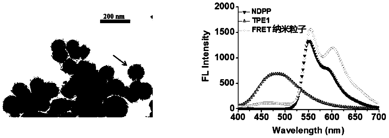 Application of Diketopyrrolopyrrole Compounds/Tetraphenylethylene Compounds Composite Nanoparticles in the Detection of Hypochlorite Ions