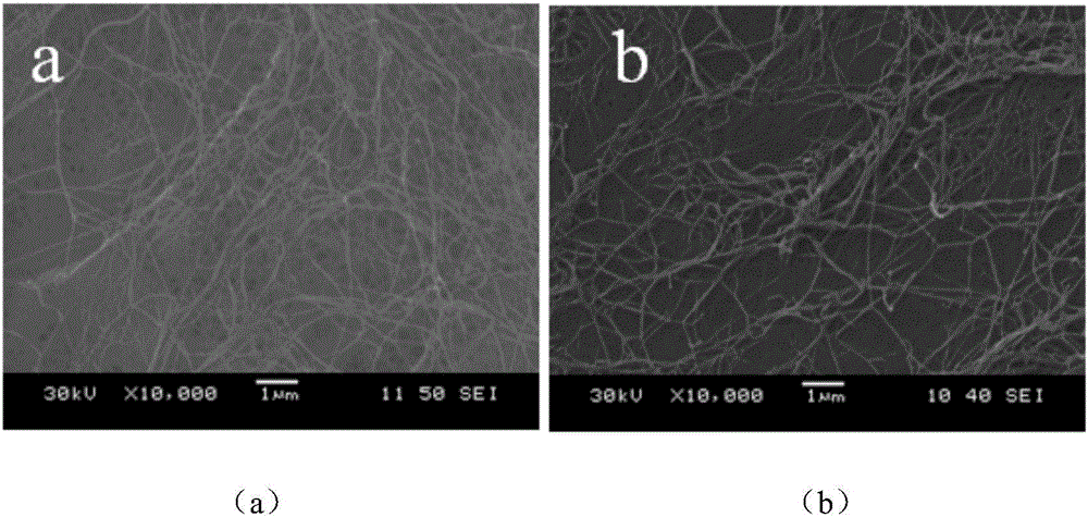 Preparation method of aloe polysaccharide/bacterial cellulose composite membrane for medical dressing