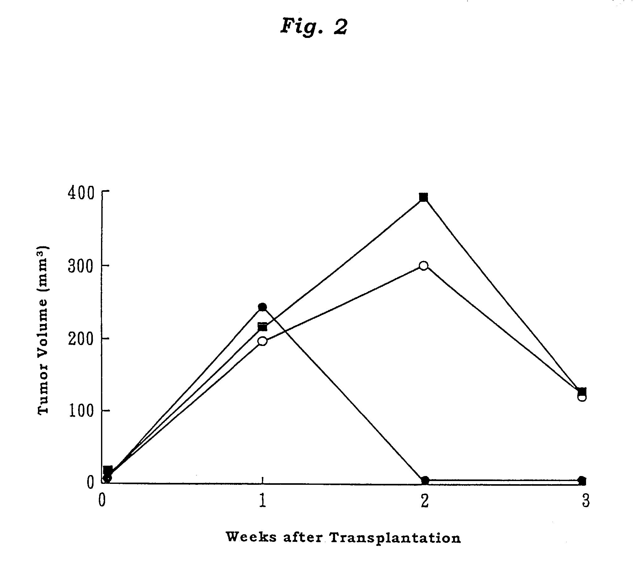 Adult T cell leukemia model animal