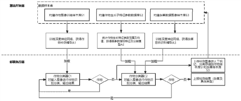 Weed detection method and device based on crop growth characteristics