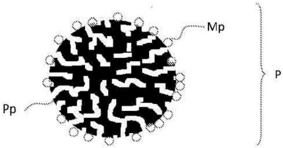 New diagnostic assay using particles with magnetic properties