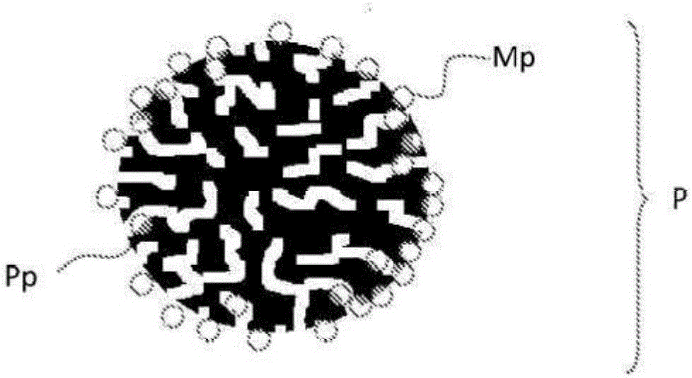 New diagnostic assay using particles with magnetic properties