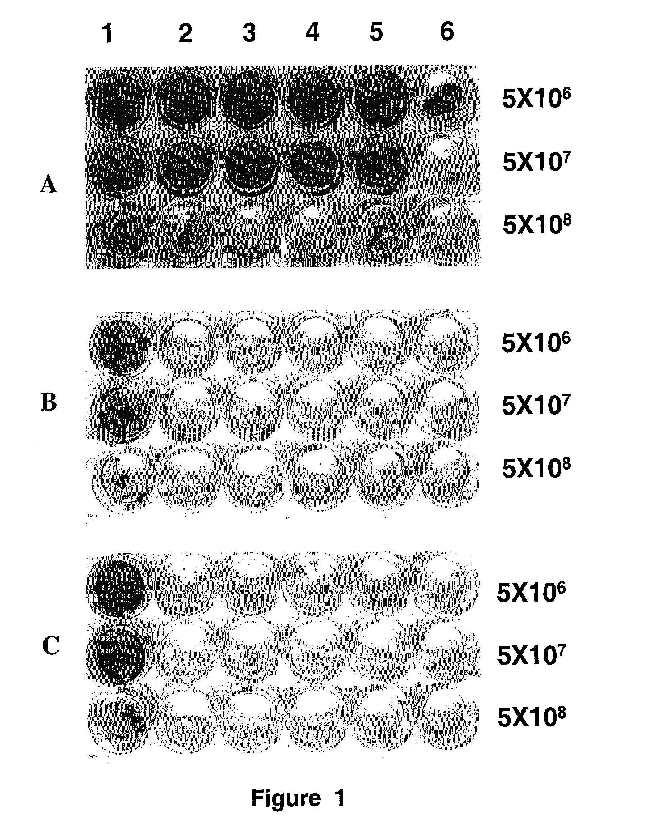 Selectivity replicating viral vectors