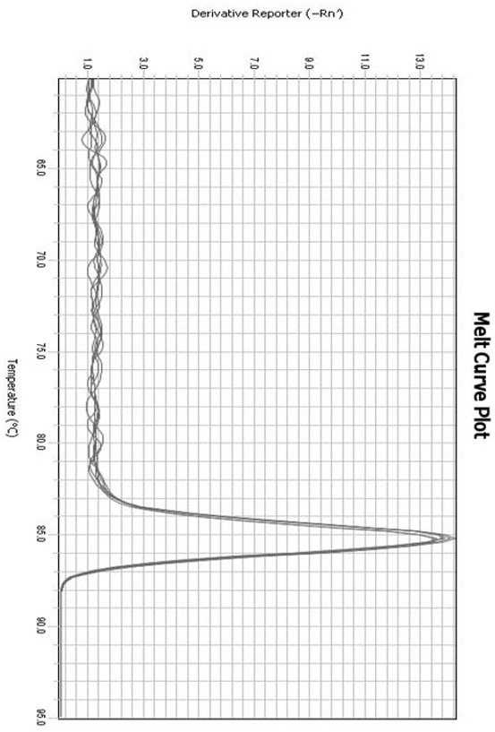 Reference gene TUB of Luffa cylindrica. L, primers of reference gene TUB and application of primers