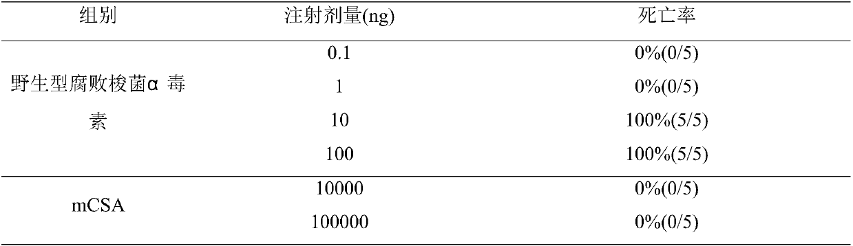 Clostridium septicum alpha toxin recombinant subunit vaccine and production method thereof