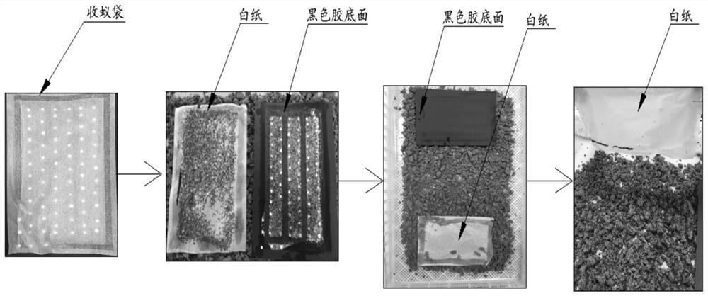 Efficient artificial feed young silkworm breeding method