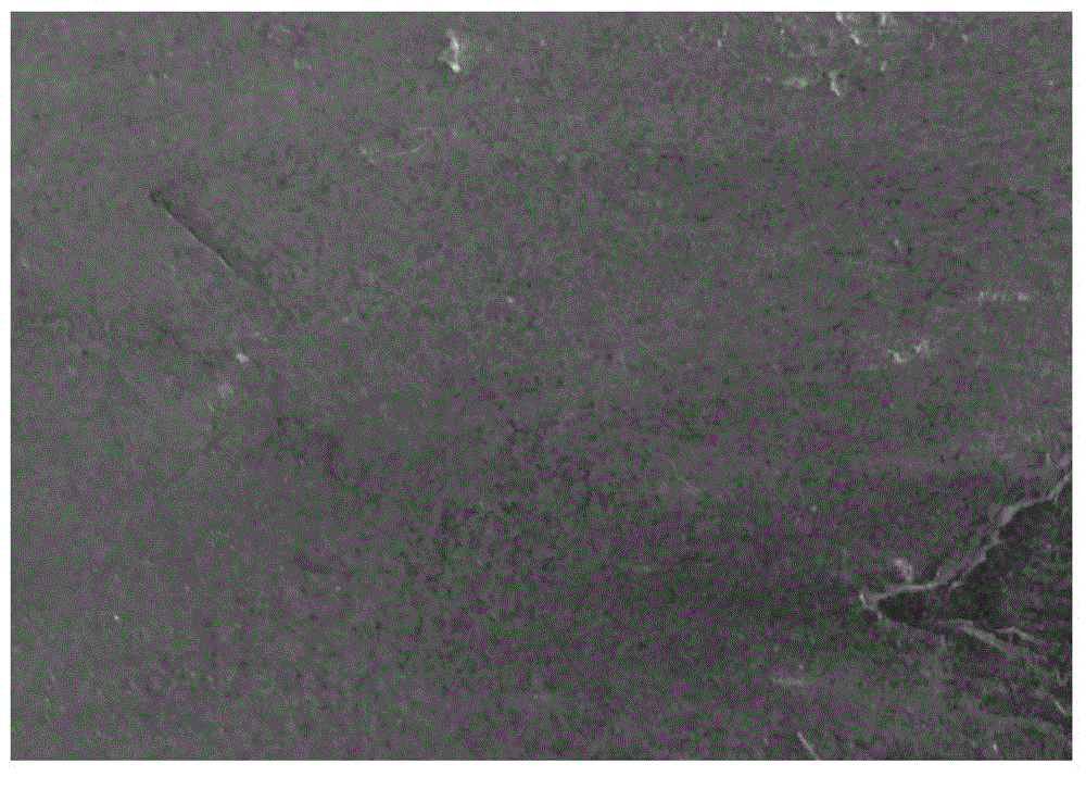 Oily high-temperature resistant coating material, application thereof and titanium ingot production method