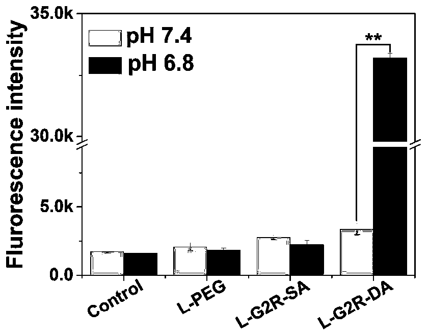 Phospholipid targeting mitochondria and application