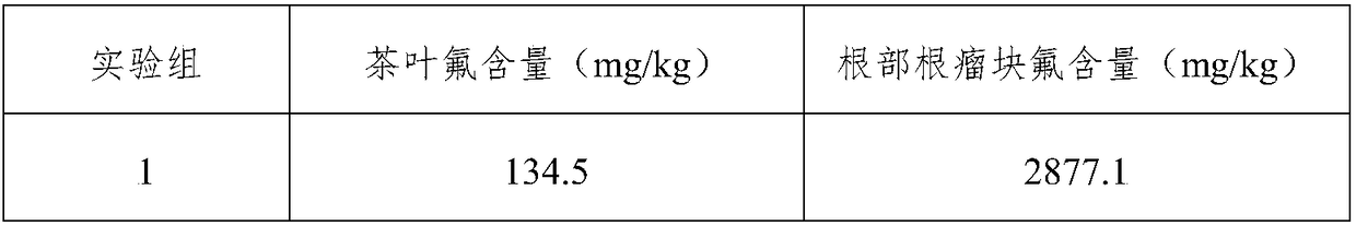 Planting method capable of reducing fluorine content of tea leaves