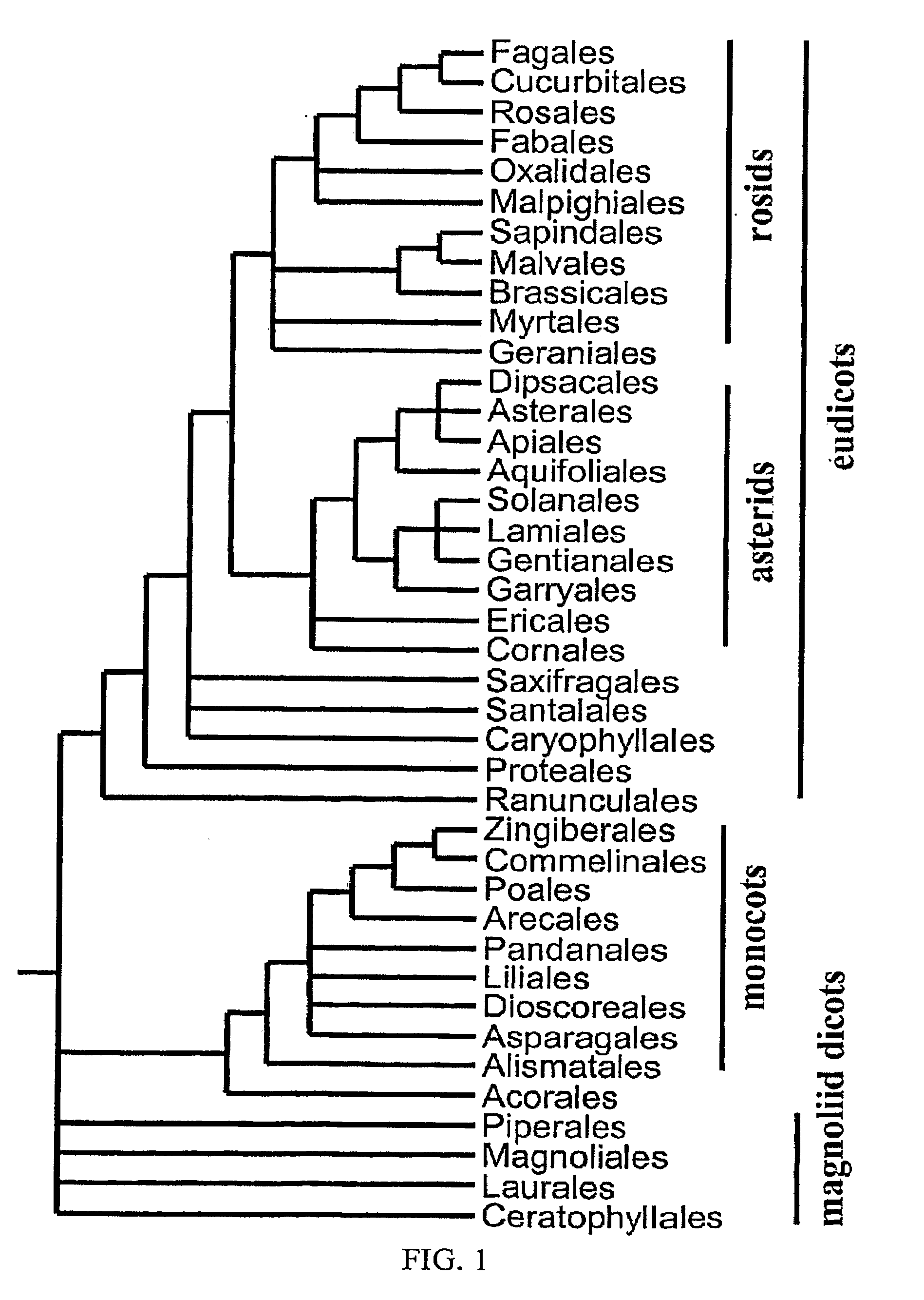 Disease-inducible promoters