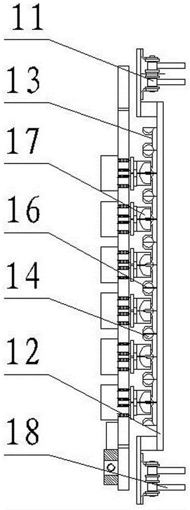 Betel nut belt conveyor seed cutting machine